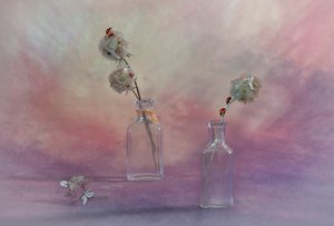 Natura morta con coccinella da sogno da Lydia Jacobs