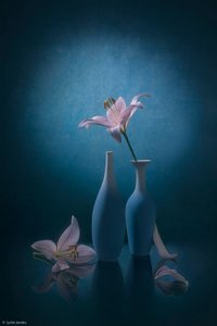 Eleganti gigli blu da Lydia Jacobs
