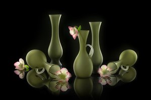 Vasi eleganti e fiori da Lydia Jacobs