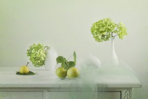 Natura morta con verdure fresche da Lydia Jacobs