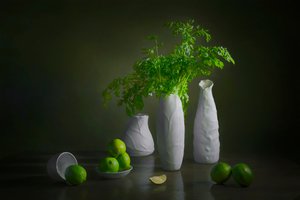 Natura morta moderna con lime da Lydia Jacobs