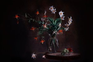 Natura morta floreale in stile malinconico da Lydia Jacobs