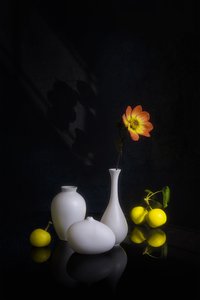 Moody: Fiori e frutta da Lydia Jacobs