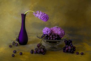 Natura morta in viola sfarzoso da Lydia Jacobs