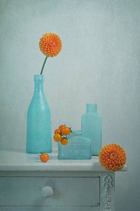 Vasi blu con dalie arancioni da Lydia Jacobs