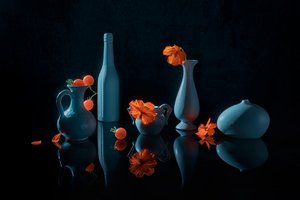 Fiori d
