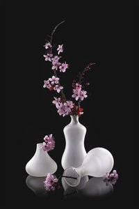 Vasi con decorazione "Fiori rosa" in stile frosted da Lydia Jacobs