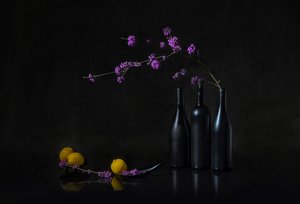 Natura morta con bacche viola scure da Lydia Jacobs