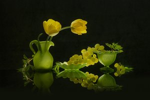 Tulipani gialli e uva verde da Lydia Jacobs