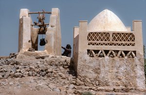 Nel deserto, un
