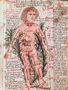 Medicina: influenza dello zodiaco sulle malattie umane (miniatura) da M Albik