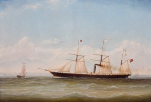 ss Western
