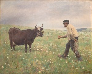 Una mucca sciolta da M. Therkildsen