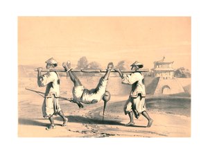 Schizzo dal muro la mattina dopo il grande attacco, Cina, XIX secolo da M and N Hanhart