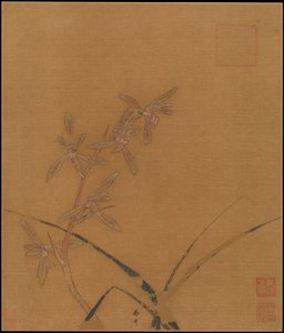 Orchidee, secondo quarto del XIII secolo da Ma Lin