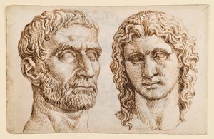 Testa di un uomo anziano, testa di un giovane da Maarten van Heemskerck