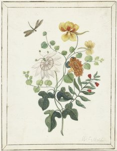 Natura morta di fiori da Machtelt Moninckx
