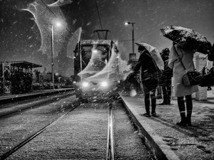 Il tram sotto la neve da Maciej Przeklasa