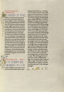 Pagina di testo decorata