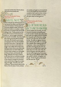 Pagina di testo decorata da Madelyn Walker