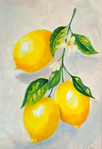 Natura morta con limoni luminosi da Madison Phipps