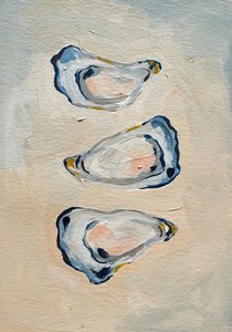 Ostriche blu costiere
