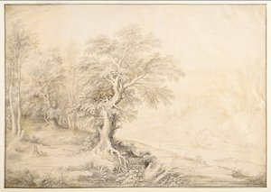 Paesaggio fluviale da Maerten de Cock