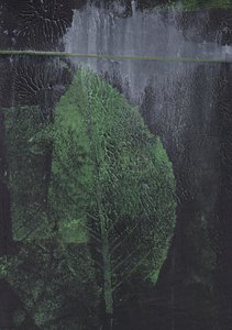 Foglia verde astratta