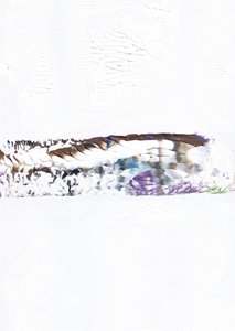 Miscela "Abstract Horizon"