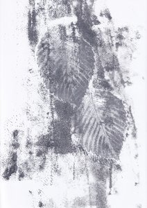 Texture astratte di foglie da Maira Ribena