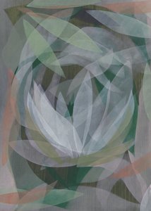 Fiore di loto astratto