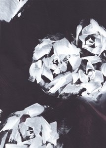 Motivo floreale bianco da Maira Ribena