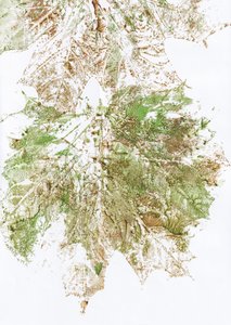Stampa con foglie autunnali