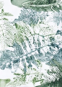 Impressioni botaniche di felci