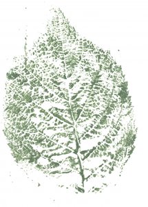 Stampa botanica con foglie da Maira Ribena