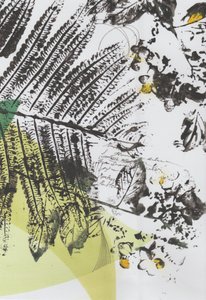 Strati di scrittura botanica