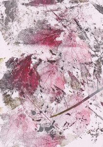 Impressioni di Crimson Leaf