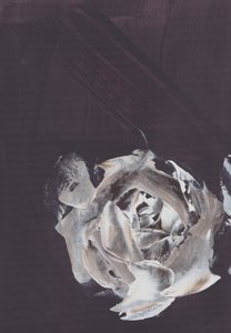 Rosa astratto scuro da Maira Ribena