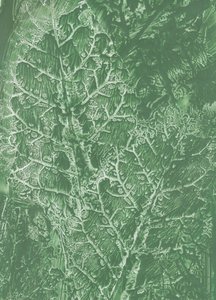 Texture di foglie verde intenso