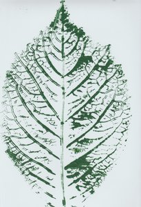 Stampa dettagliata con foglie verdi da Maira Ribena