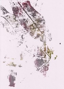Ispirazioni botaniche dal sapore rustico da Maira Ribena