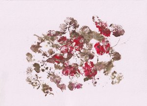 Note floreali terrose da Maira Ribena