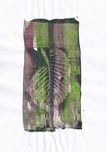 Impronta di foglia terrosa
