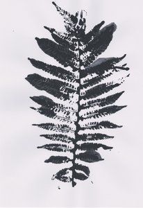 Elegant Fern Leaf da Maira Ribena