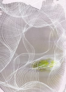 Linee sinuose - Verde da Maira Ribena