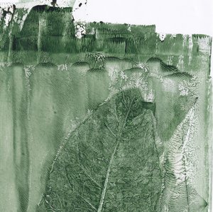 Impronta della foglia verde