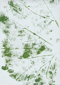 Impronta della foglia verde