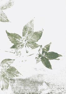 Impressioni di Green Leaf da Maira Ribena