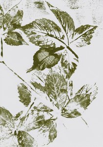Stampe con foglie verdi