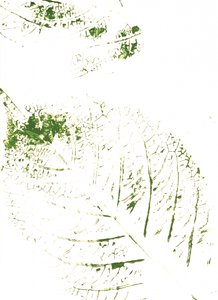 Stampe con foglie verdi